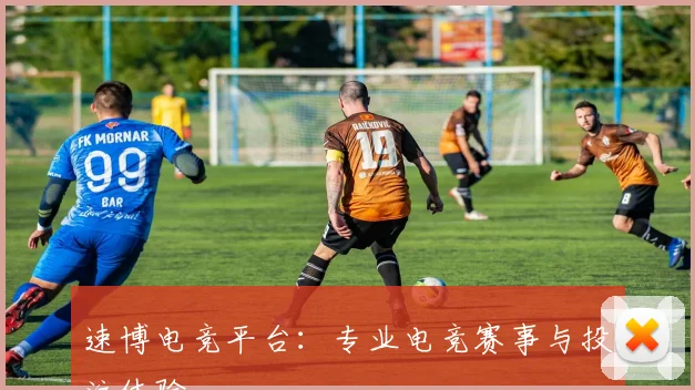 速博电竞平台：专业电竞赛事与投注体验